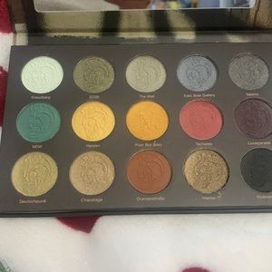 Nomad x Berlin Underground Specisl Ipsy Edition 15 new color eye shadow palette
